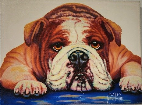 Angel The English Bulldog by Maree Davidson