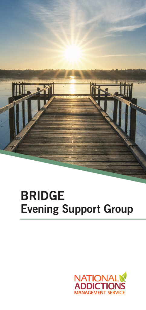 Bridge Brochure