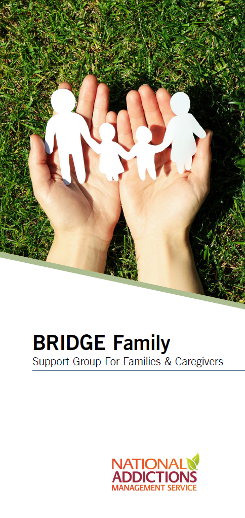 Bridge Brochure