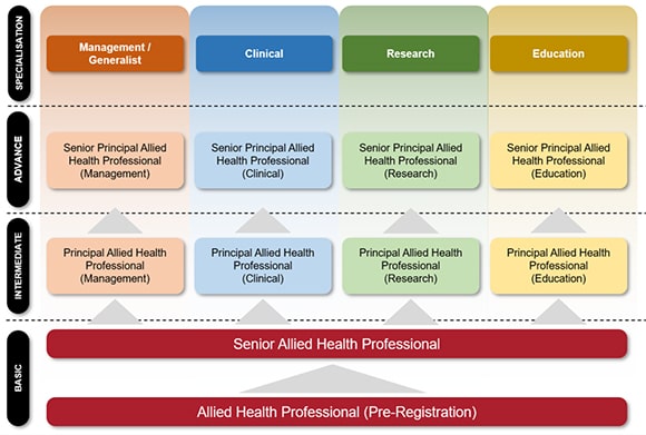AHP-Career-Progression-Map-min