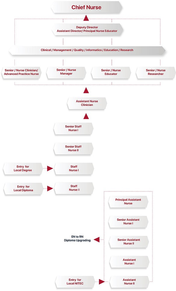 Nursing-Career-Path