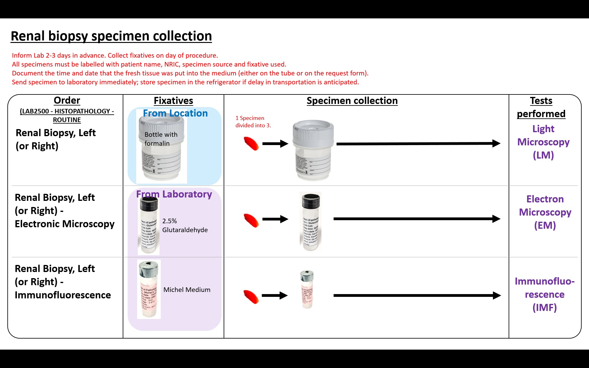 Renal biopsy specimen collection